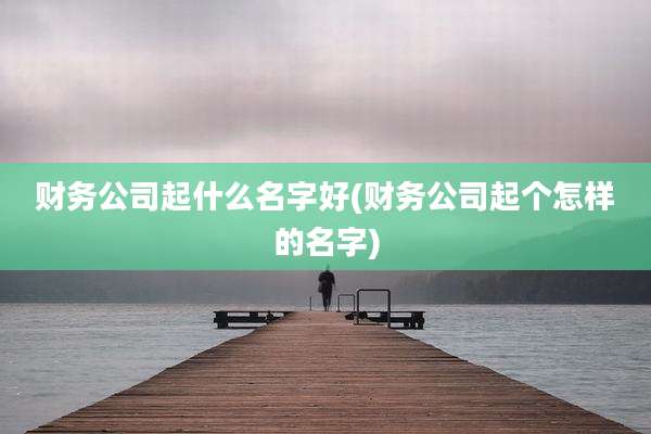 财务公司起什么名字好(财务公司起个怎样的名字)