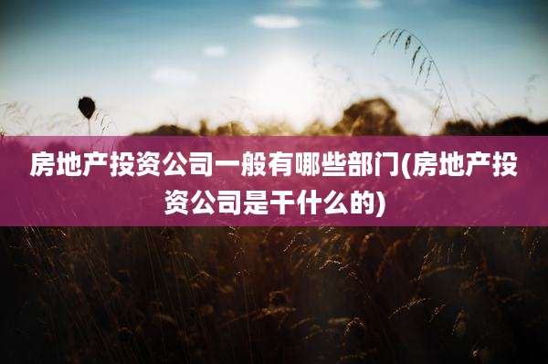 房地产投资公司一般有哪些部门(房地产投资公司是干什么的)