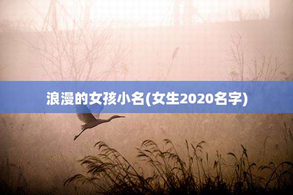 浪漫的女孩小名(女生2020名字)