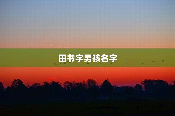 田书字男孩名字