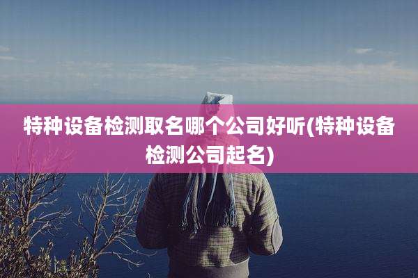 特种设备检测取名哪个公司好听(特种设备检测公司起名)