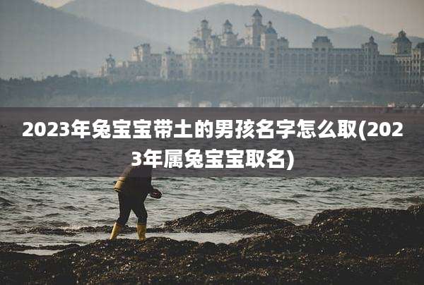 2023年兔宝宝带土的男孩名字怎么取(2023年属兔宝宝取名)