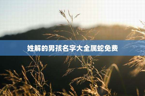姓解的男孩名字大全属蛇免费