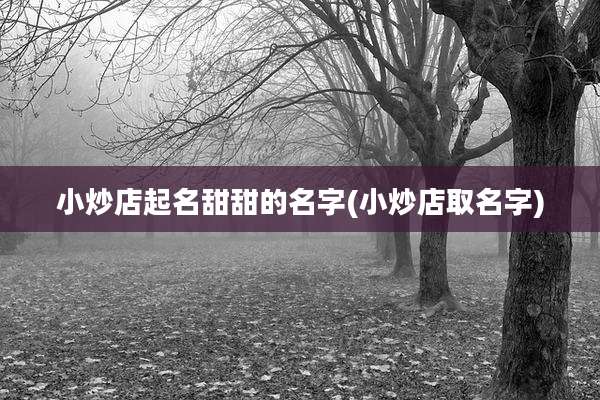 小炒店起名甜甜的名字(小炒店取名字)