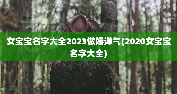 女宝宝名字大全2023傲娇洋气(2020女宝宝名字大全)