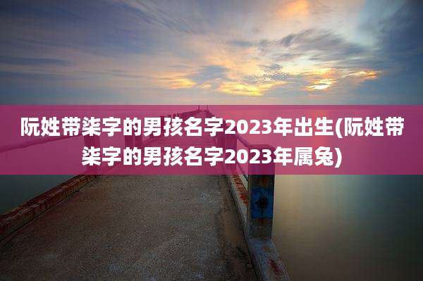 阮姓带柒字的男孩名字2023年出生(阮姓带柒字的男孩名字2023年属兔)