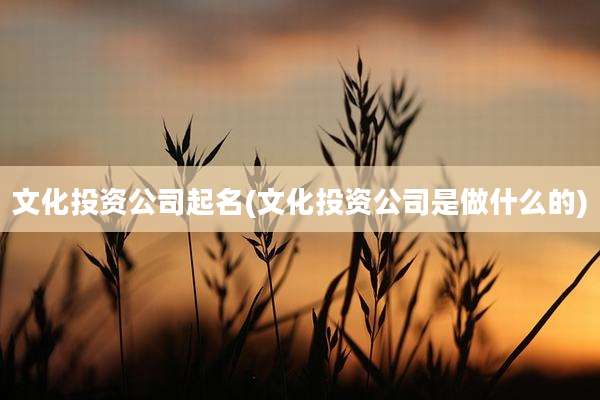 文化投资公司起名(文化投资公司是做什么的)