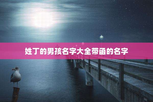 姓丁的男孩名字大全带函的名字
