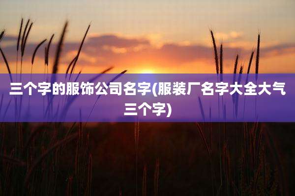 三个字的服饰公司名字(服装厂名字大全大气三个字)