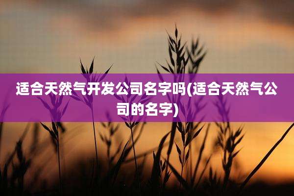 适合天然气开发公司名字吗(适合天然气公司的名字)