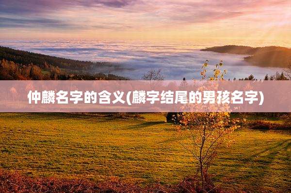 仲麟名字的含义(麟字结尾的男孩名字)