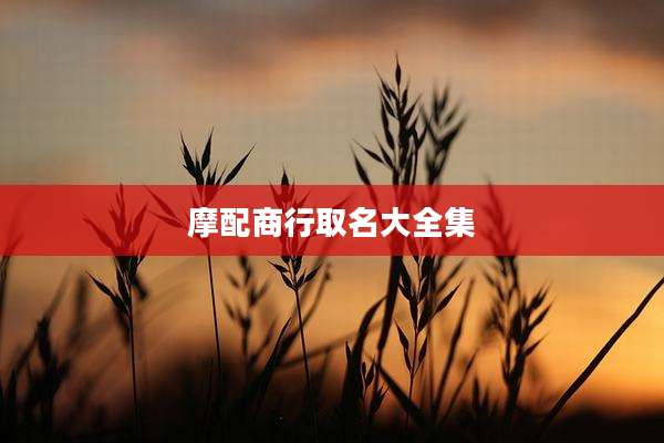 摩配商行取名大全集