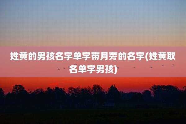姓黄的男孩名字单字带月旁的名字(姓黄取名单字男孩)