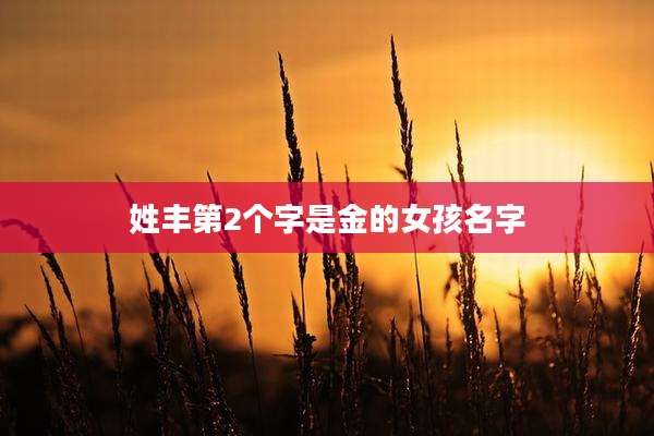 姓丰第2个字是金的女孩名字