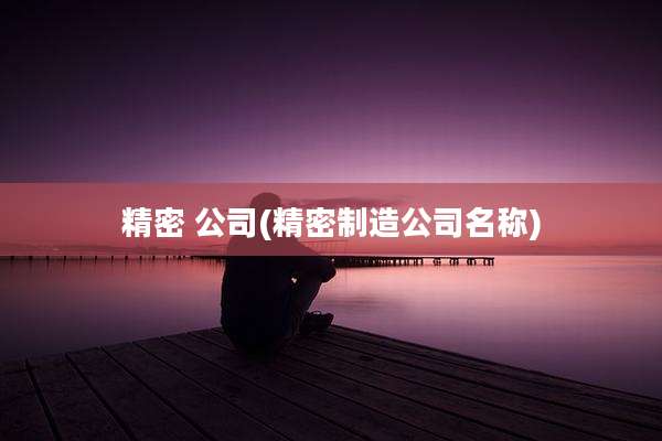 精密 公司(精密制造公司名称)