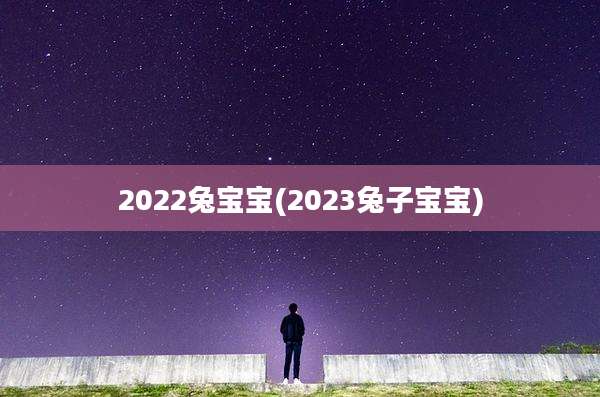 2022兔宝宝(2023兔子宝宝)