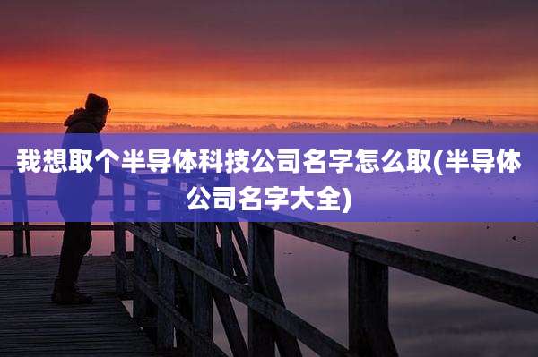 我想取个半导体科技公司名字怎么取(半导体公司名字大全)