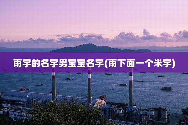 雨字的名字男宝宝名字(雨下面一个米字)