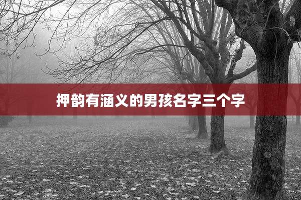 押韵有涵义的男孩名字三个字