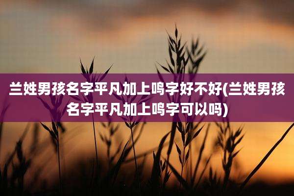兰姓男孩名字平凡加上鸣字好不好(兰姓男孩名字平凡加上鸣字可以吗)