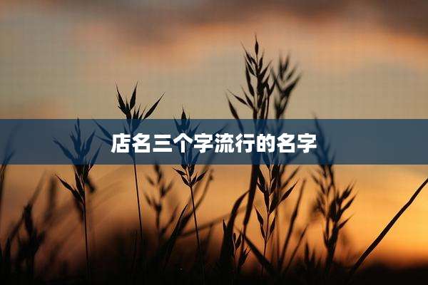 店名三个字流行的名字