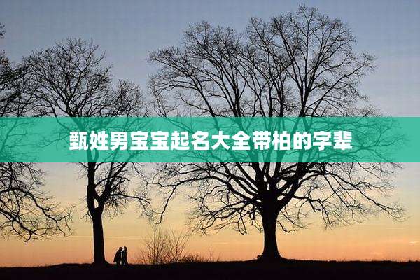 甄姓男宝宝起名大全带柏的字辈