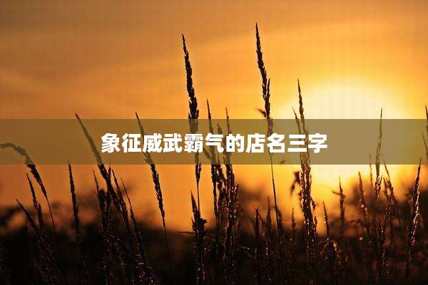 象征威武霸气的店名三字