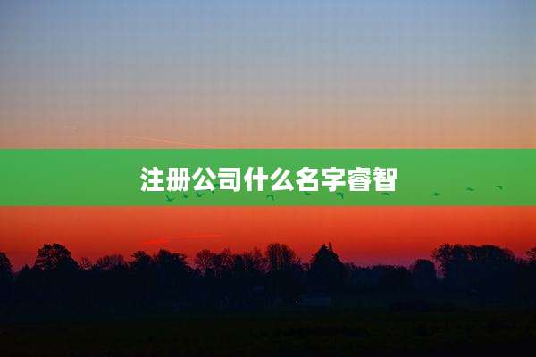 注册公司什么名字睿智
