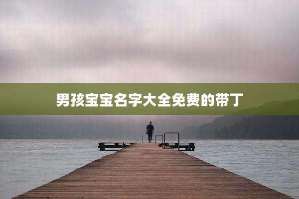 男孩宝宝名字大全免费的带丁