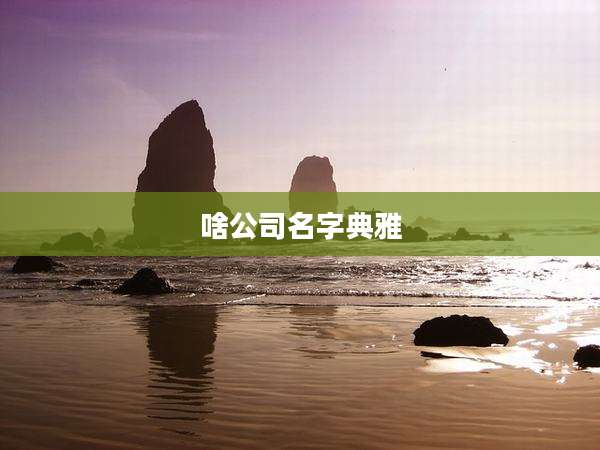 啥公司名字典雅
