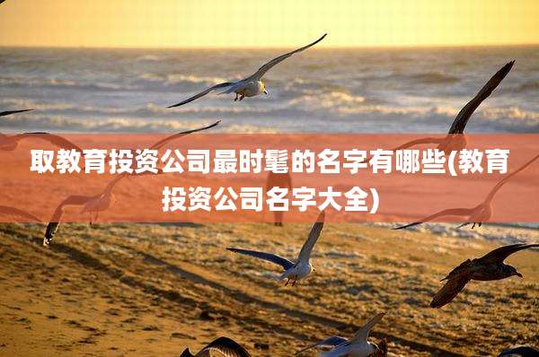 取教育投资公司最时髦的名字有哪些(教育投资公司名字大全)