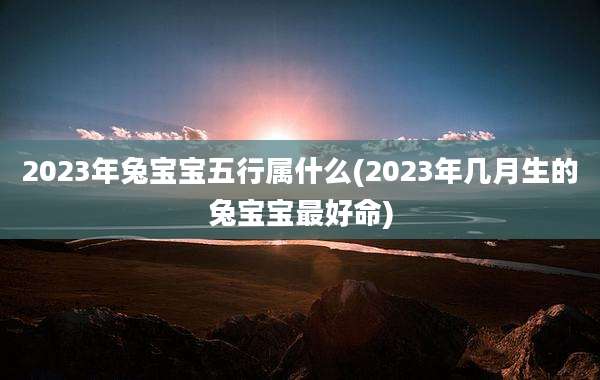 2023年兔宝宝五行属什么(2023年几月生的兔宝宝最好命)