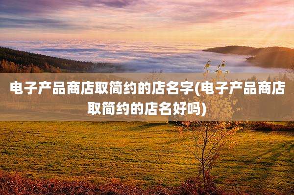 电子产品商店取简约的店名字(电子产品商店取简约的店名好吗)