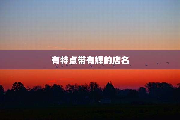 有特点带有辉的店名