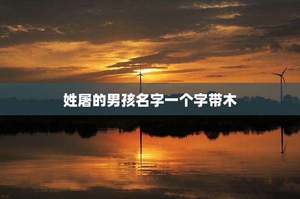 姓屠的男孩名字一个字带木