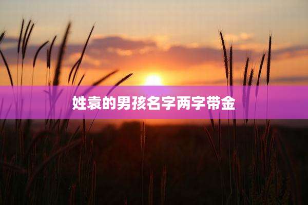 姓袁的男孩名字两字带金