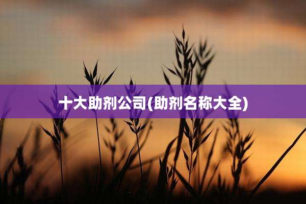 十大助剂公司(助剂名称大全)