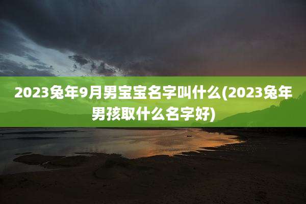 2023兔年9月男宝宝名字叫什么(2023兔年男孩取什么名字好)