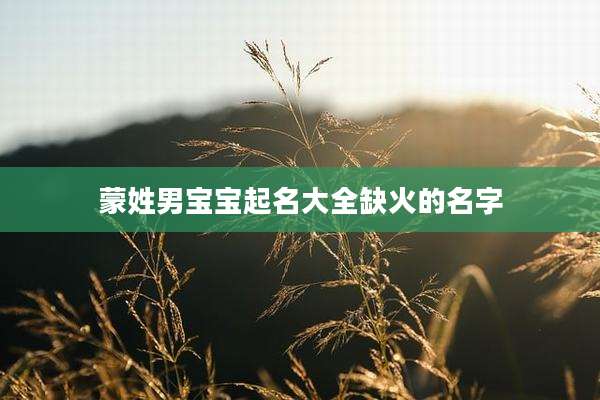 蒙姓男宝宝起名大全缺火的名字