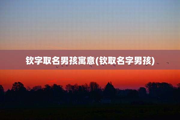 钦字取名男孩寓意(钦取名字男孩)