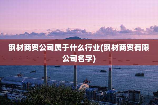 钢材商贸公司属于什么行业(钢材商贸有限公司名字)