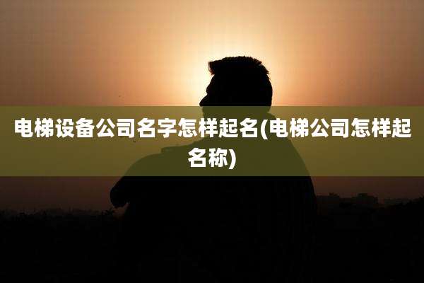 电梯设备公司名字怎样起名(电梯公司怎样起名称)
