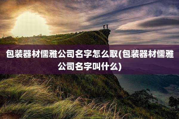 包装器材儒雅公司名字怎么取(包装器材儒雅公司名字叫什么)