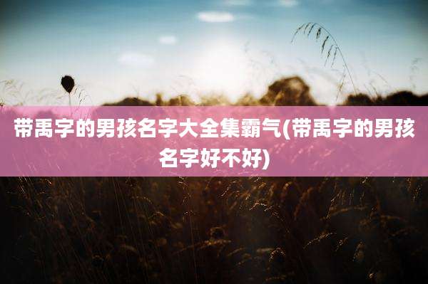 带禹字的男孩名字大全集霸气(带禹字的男孩名字好不好)