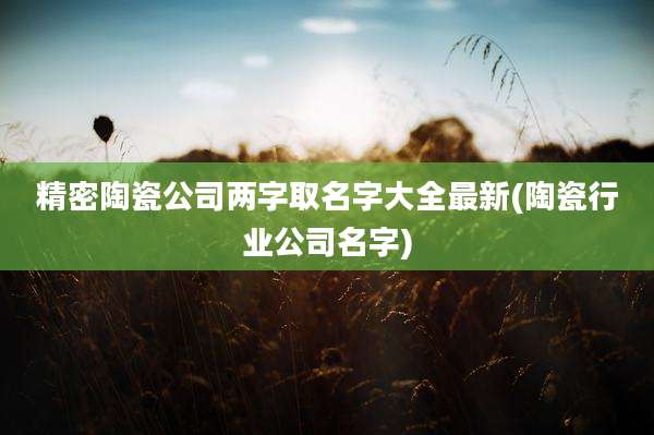 精密陶瓷公司两字取名字大全最新(陶瓷行业公司名字)