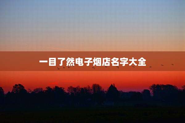一目了然电子烟店名字大全