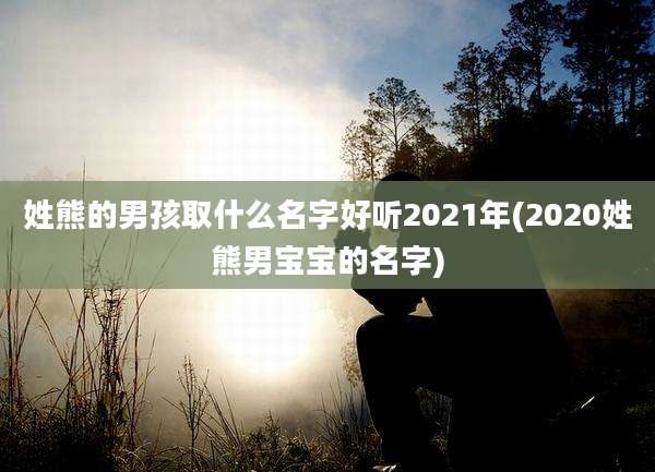 姓熊的男孩取什么名字好听2021年(2020姓熊男宝宝的名字)