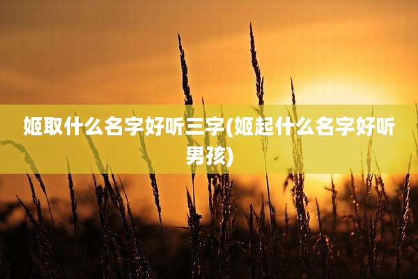 姬取什么名字好听三字(姬起什么名字好听男孩)