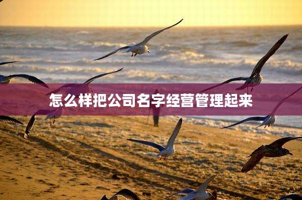 怎么样把公司名字经营管理起来