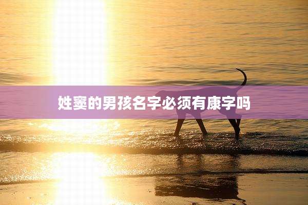 姓窦的男孩名字必须有康字吗